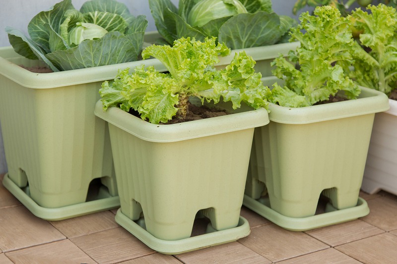 アイリスオーヤマ エアーベジタブルプランター 400v ベジタブルグリーン Sunday サンデーネットショップ